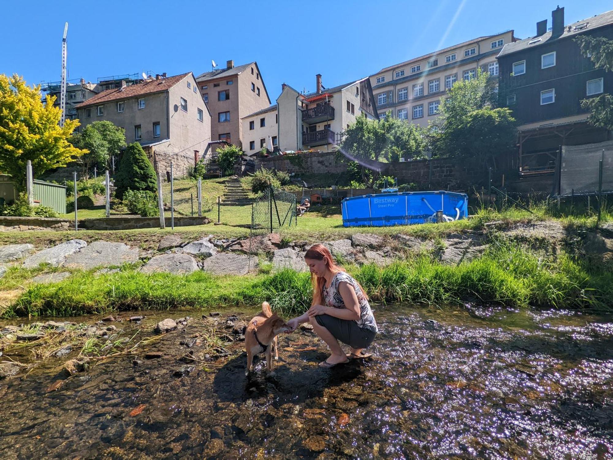 Hw2B - Urlaubsmagie - Wohlfuehlwohnung Mit Balkon, Pool, Sauna & Terrasse Sebnitz Zewnętrze zdjęcie