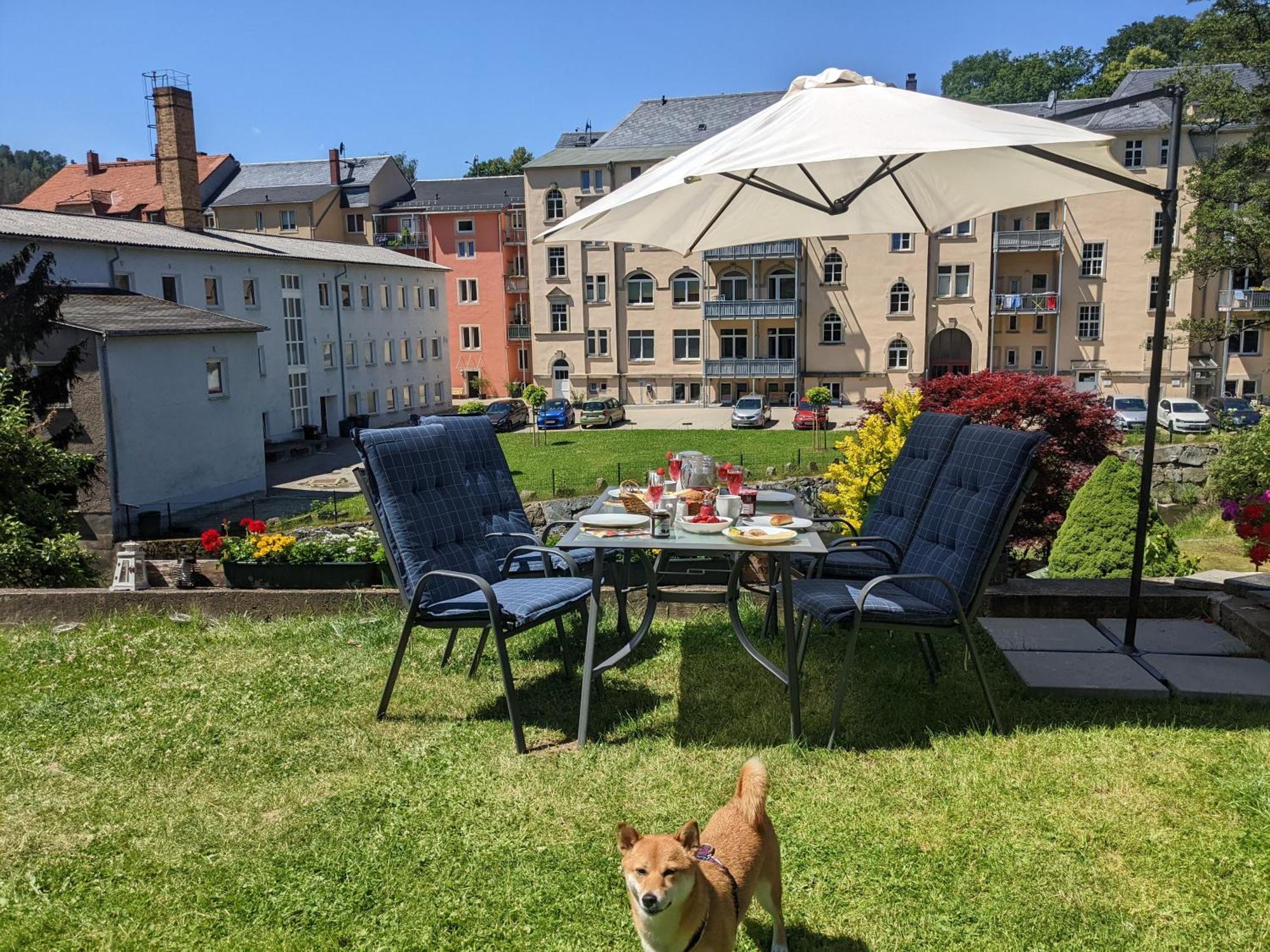 Hw2B - Urlaubsmagie - Wohlfuehlwohnung Mit Balkon, Pool, Sauna & Terrasse Sebnitz Zewnętrze zdjęcie