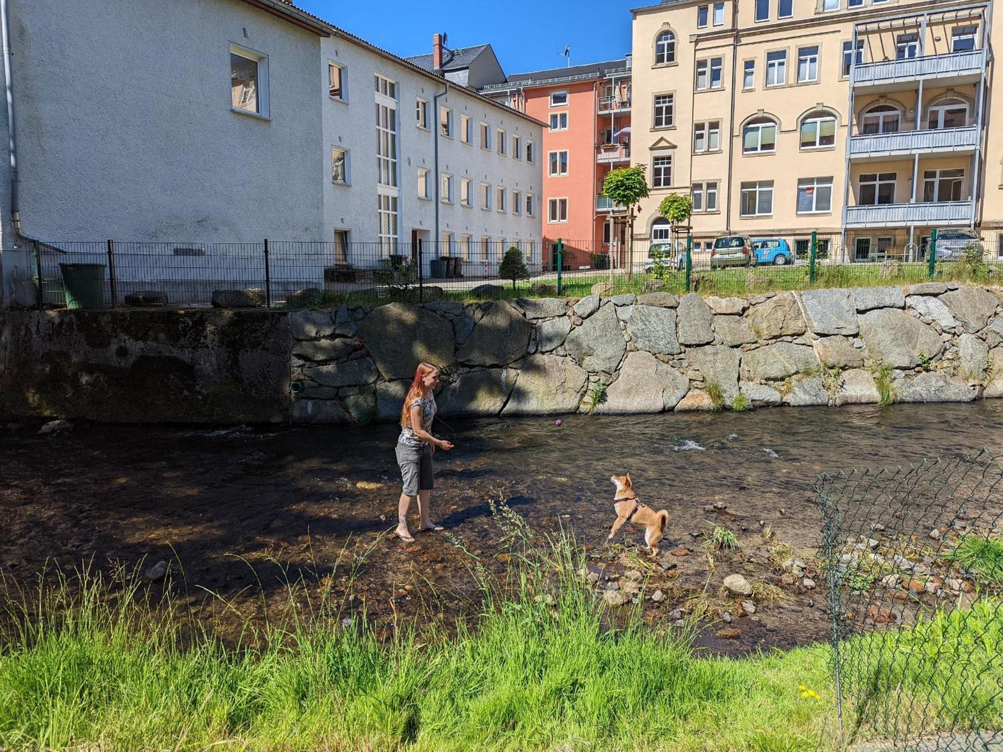 Hw2B - Urlaubsmagie - Wohlfuehlwohnung Mit Balkon, Pool, Sauna & Terrasse Sebnitz Zewnętrze zdjęcie