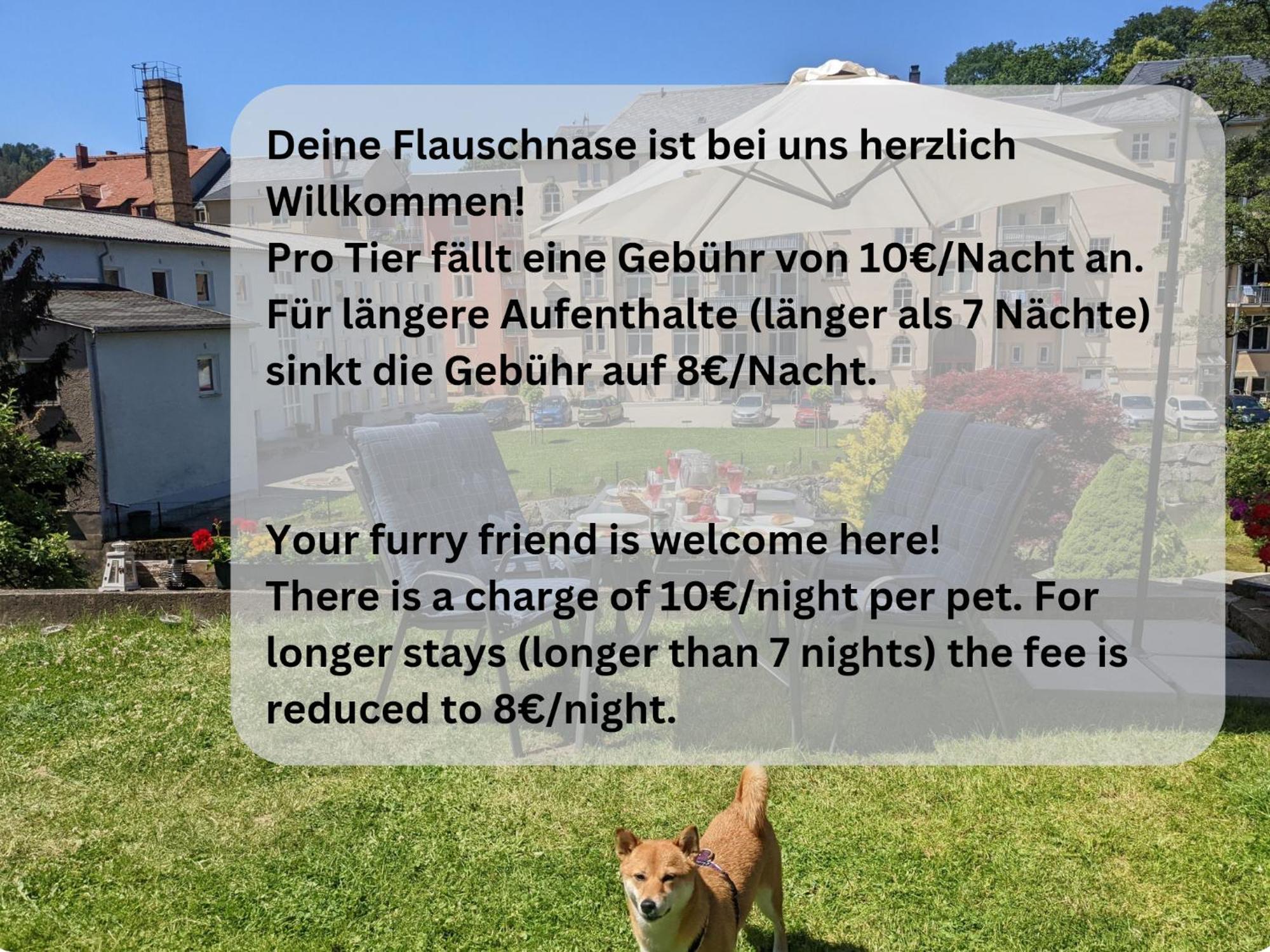 Hw2B - Urlaubsmagie - Wohlfuehlwohnung Mit Balkon, Pool, Sauna & Terrasse Sebnitz Zewnętrze zdjęcie
